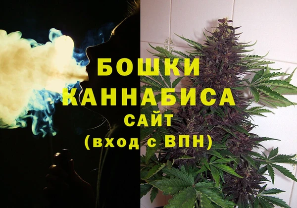 метадон Алагир