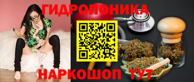 бошки Гусь-Хрустальный