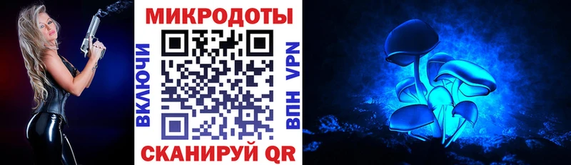 Псилоцибиновые грибы прущие грибы  Геленджик 