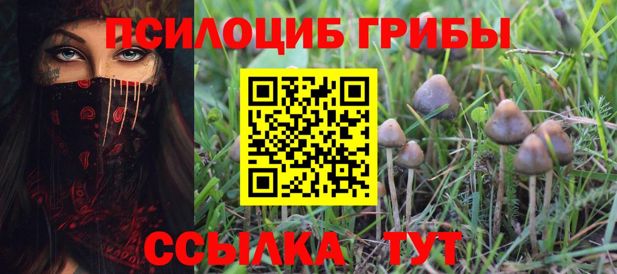 Псилоцибиновые грибы мицелий  дарнет шоп  Геленджик  Вход с VPN 